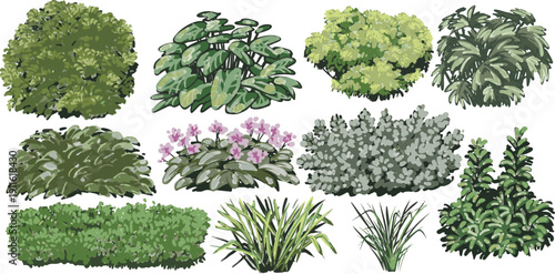 Garden Shrub and Ornamental Plant Vector CollectionA versatile set of hand-drawn garden shrubs, hedges, and flowering plants in various shades of green, perfect for landscape design and illustrations.