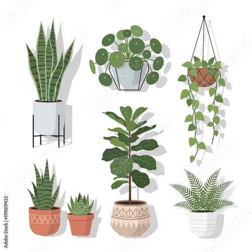 Collection of various houseplants in pots, indoor gardening, home decor, botanical illustration