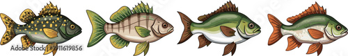 Four cartoon fish with different colors and patterns on white background colorful