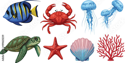 Colorful ocean creatures on white background fish crab jellyfish
