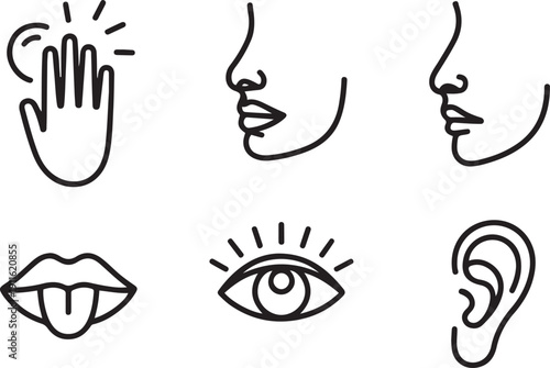 Five human senses one line drawing set. Touch, smell, taste, look, hear icon. 5 five types symbols.one line icon illustration with white background