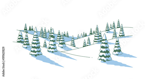 Group of evergreen conifer trees.