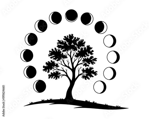 Black Silhouette Tree and Moon Phases Cycle on White Background
