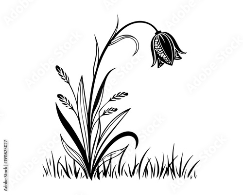 Decorative vector illustration of bell flower with grass in black and white