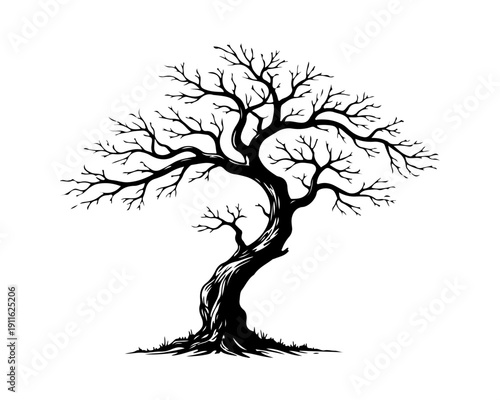 Hand Drawn Twisted Bare Tree Silhouette Isolated on White - Vintage Logo Design
