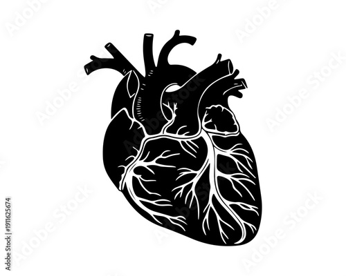 Anatomical Human Heart Illustration Black and White Icon Design