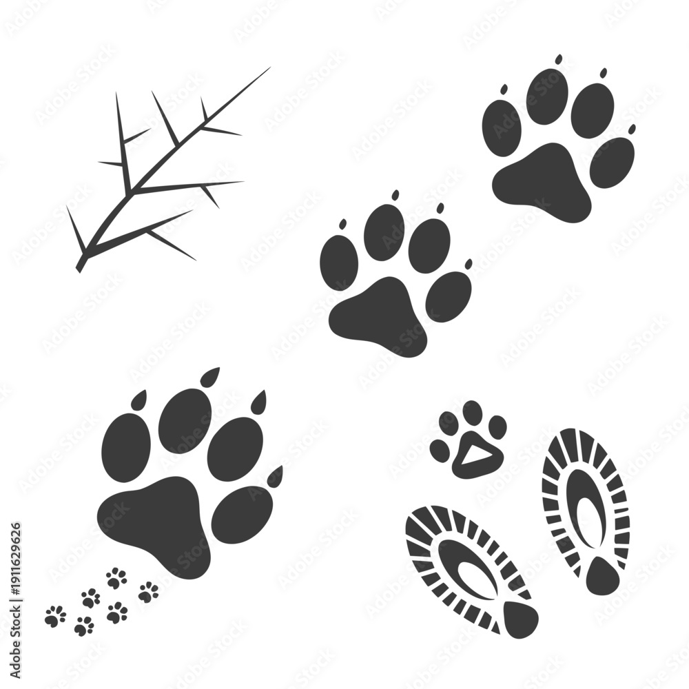 Fototapeta premium A variety of animal tracks and footprints in black and white Vector