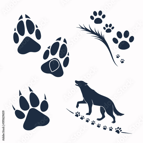 A variety of animal tracks and a silhouette of a dog in a natural setting. Vector