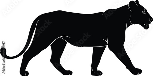 Black panther silhouette walking illustration on white, whiskers visible, dynamic pose, vector graphic