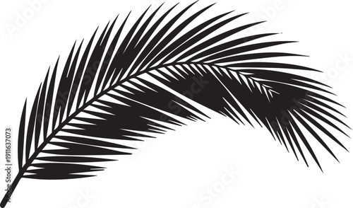 Single palm leaf silhouette vector illustration of exotic plant frond for summer designs