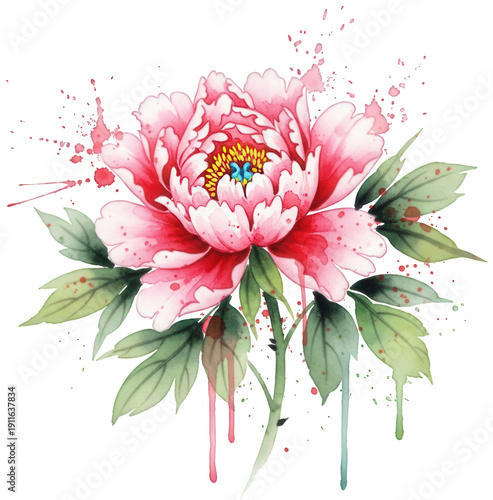 Pink Peony png Watercolor Flower cutout Red Blossom illustration Botanical Peony png Hand-painted Bloom cutout Artistic Floral illustration isolated transparent background image