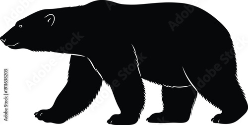 Vector illustration of a walking bear silhouette against a clean background from a side viewpoint for graphic designs