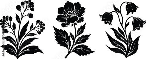 Stylized floral silhouettes, decorative botanical vector illustration, elegant flower artwork, nature-inspired design elements for creative and seasonal themes