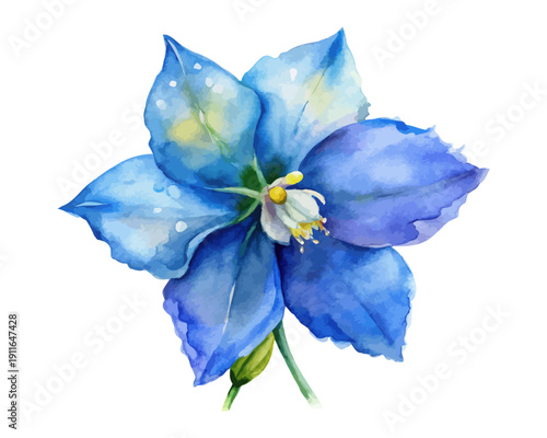 Watercolor Larkspur Flower Art, Delicate Blue Botanical, isolated on white background