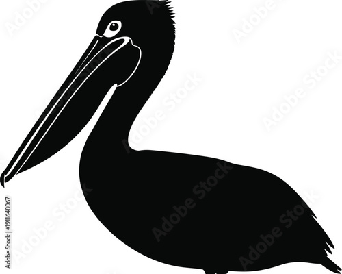 Illustration of a pelican standing alone with a long beak in a simple design