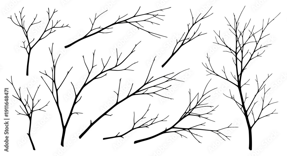 Obraz premium a vector isolated bare tree branches and leafless silhouettes for winter autumn nature and minimalist design.