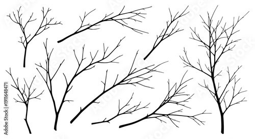 a vector isolated bare tree branches and leafless silhouettes for winter autumn nature and minimalist design.