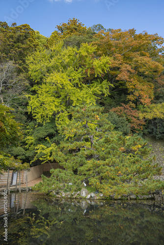 日本　島根県出雲市大社町にある出雲大社の鏡の池