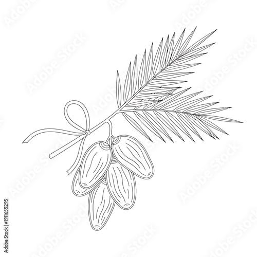 Elegant monochrome illustration of a bunch of ripe dates hanging from a palm frond, tied with a decorative bow, perfect for traditional and culinary designs