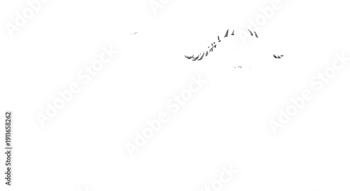 Dynamic whisker illustration of a feline face with flowing lines and curves in a minimalist vector style Whisk_50abda485567e5f941340038fd70556edr.eps