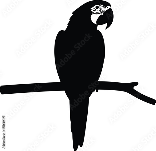Black parrot silhouette illustration on branch with detailed beak and eye vector art eps file