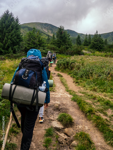 group of young hikers in the mountains. carpathian mountains. ukraine. vertical view