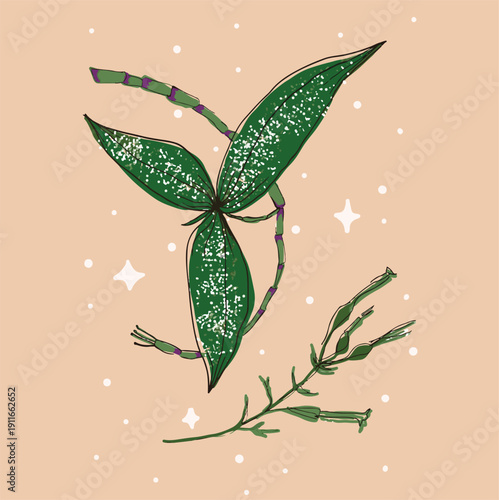 houseplant greenery floral plant bud vector