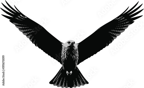Bird flying with outstretched wings in flight from aerial viewpoint illustration eps Whisk