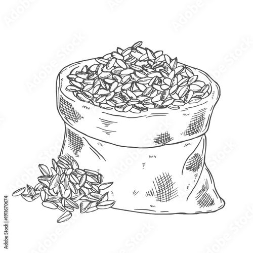 Sack full of wheat grains, sketch. Farm organic food, bread baking, bakery concept. Hand drawn illustration