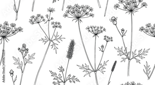 Seamless pattern with hand drawn wild flowers, botanical meadow weeds sketch, black and white floral background for textile and wallpaper design
