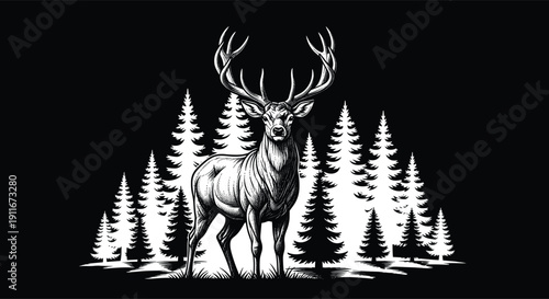 Noble stag deer with large antlers in pine forest landscape, black and white wilderness nature background for hunting and outdoor design,