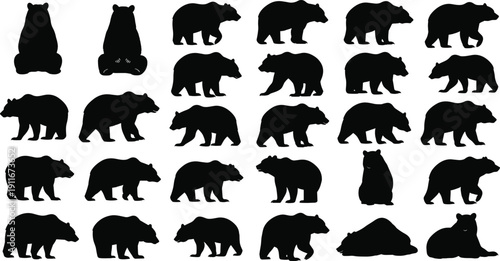 Large collection of black bear silhouettes, grizzly and brown bears in walking sitting and standing poses, wild forest animal icons