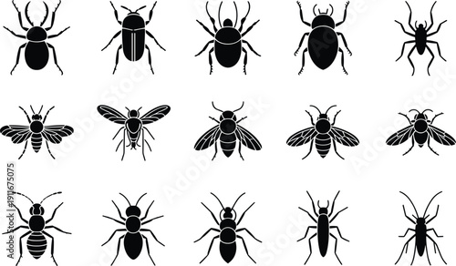 Collection of black insect silhouettes isolated on white background featuring beetle, spider, bee and ant icons, minimalist vector illustration set