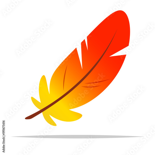Scarlet macaw feather cartoon vector isolated illustration