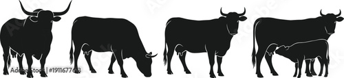 Black cow and bull silhouette vector set featuring grazing cattle, calf nursing, and livestock poses isolated on white background for farm and dairy themes.