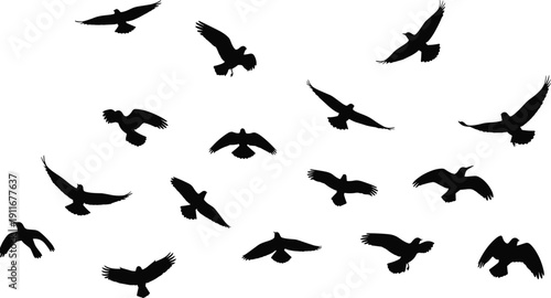 Black flying bird silhouette vector set featuring various wingspan poses, migratory flock patterns, and soaring avian shapes isolated on white background for nature designs.