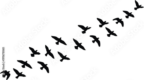 Silhouettes of birds flying in diagonal formation, showcasing wing positions and motion, symbolizing migration, unity, and elegance in black vector design for creative projects