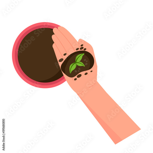 Hand Planting Seedling in Pot