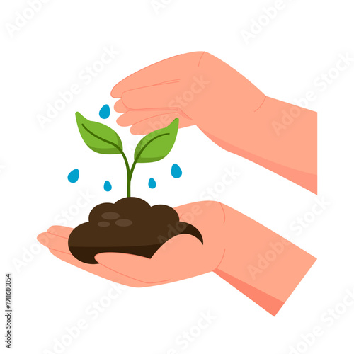 Hand Watering Young Plant