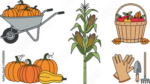 Autumn Harvest Vector Illustration Set Featuring Pumpkins in Wheelbarrow Corn Stalks Apple Basket and Gardening Tool Icons