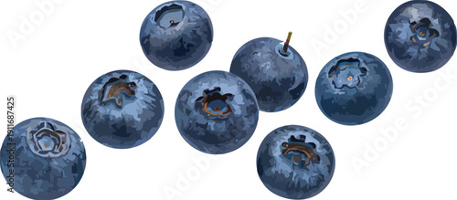 Scattered Blueberries Fruit Set Illustration for Healthy Eating and Food Design Vector Graphic Isolated on White Background