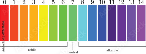 pH Scale Chart for Understanding Acidity Neutrality and Alkalinity Levels