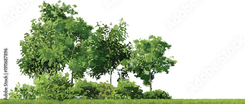 Stylized green trees and bushes on grass illustration for architectural rendering and landscape design vector graphic