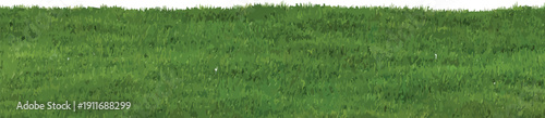 Detailed green grass border vector illustration. Stylized lawn field element for nature, spring, and environmental designs.