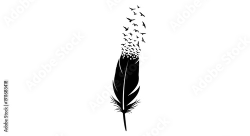 silhouette of a black feather dissolving into a flock of flying birds