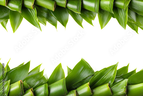 Bamboo Shoots Frame Border Isolated on White Background
