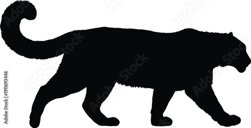 Black panther silhouette walking forward with tail curled, vector illustration, Whisk_3598af5abffb590b2aa454cba48a3eb8dr.eps
