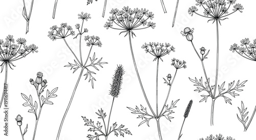 Seamless pattern with hand drawn wild flowers, botanical meadow weeds sketch, black and white floral background for textile and wallpaper design