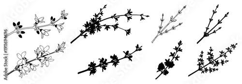 Set of spring flower branches with buds and blooms in silhouette and line art graphic style