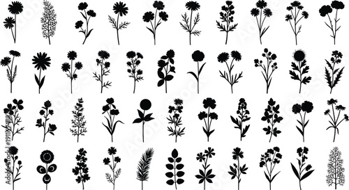 Large collection of black dog silhouettes, various breeds of domestic pets in different poses, canine vector icons for animal lovers,